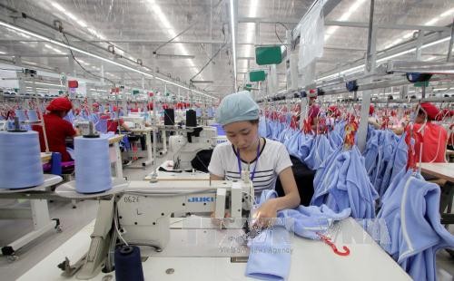 Belles perspectives pour le textile vietnamien en 2017 - ảnh 1